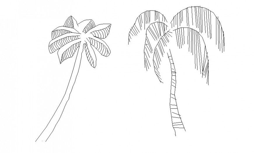 Coconut tree details 2d view drawing in autocad software