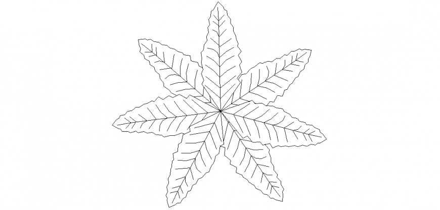 Coconut tree plan design of block dwg file