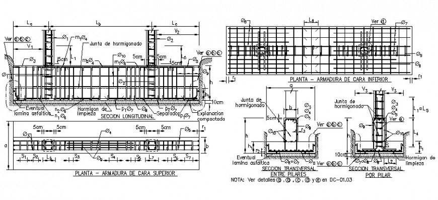 Combined Strap footing details drawing in autocad