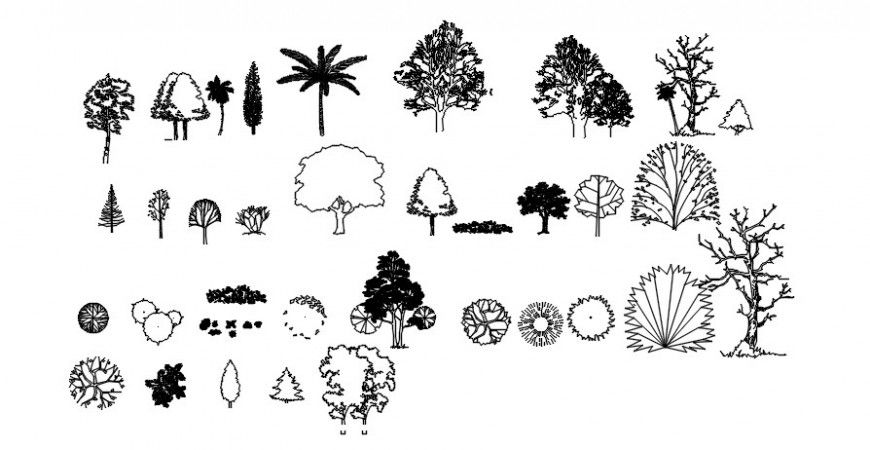 Common 2d tree and plan blocks drawing details dwg file