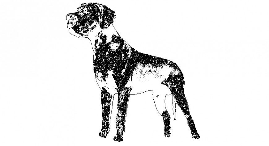 Common dog front 2d elevation block cad drawing details dwg file