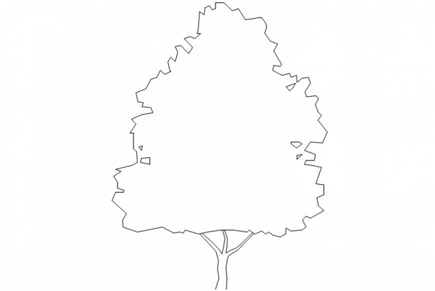 Common garden tree 2d elevation block drawing details dwg file