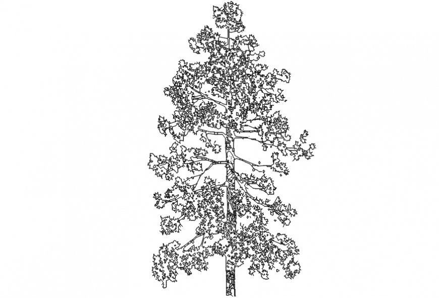 Common garden tree elevation 2d block details dwg file