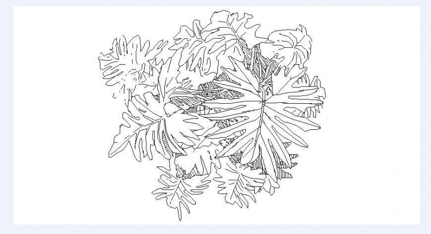Common leaf tree plant elevation block cad drawing details dwg file