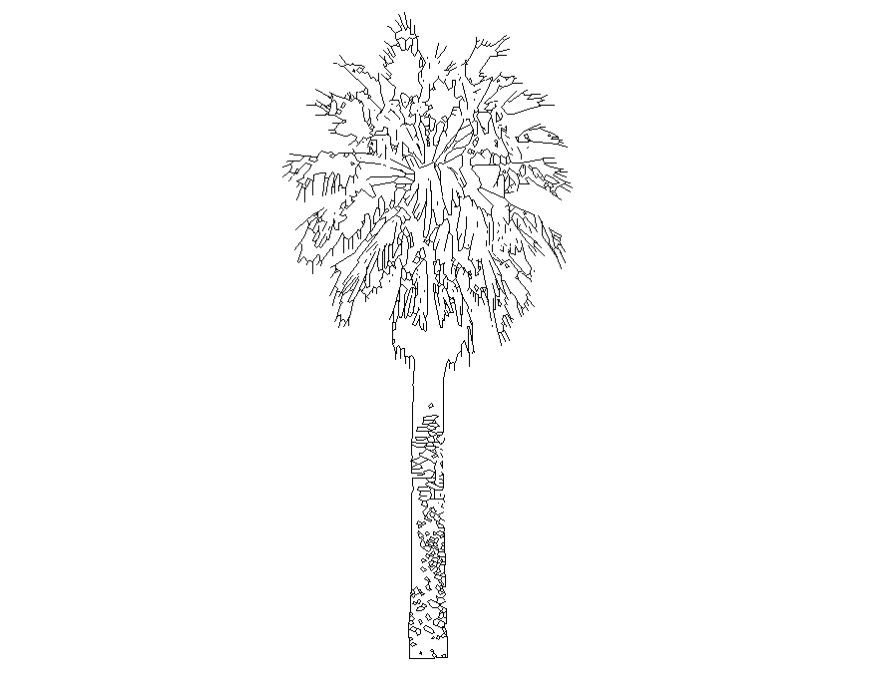 Common palm tree prospectus front view cad block details dwg file