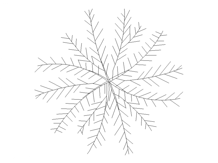 Common palm tree top view elevation cad block details dwg file