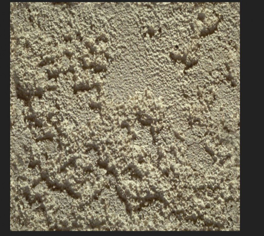 Concrete texture detail 3d model layout 3d max file