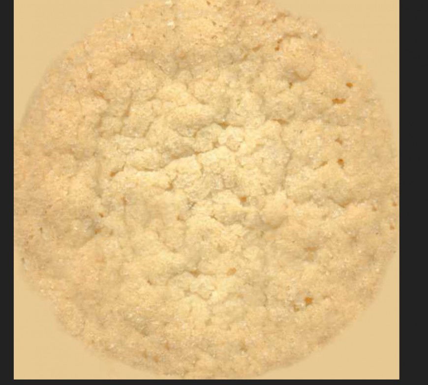 Cookie Chocolate Chip texture detail texture JPEG file