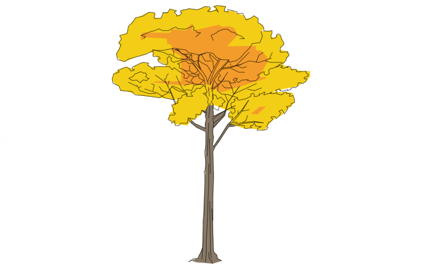 Creative color tree elevation 2d block drawing details dwg file