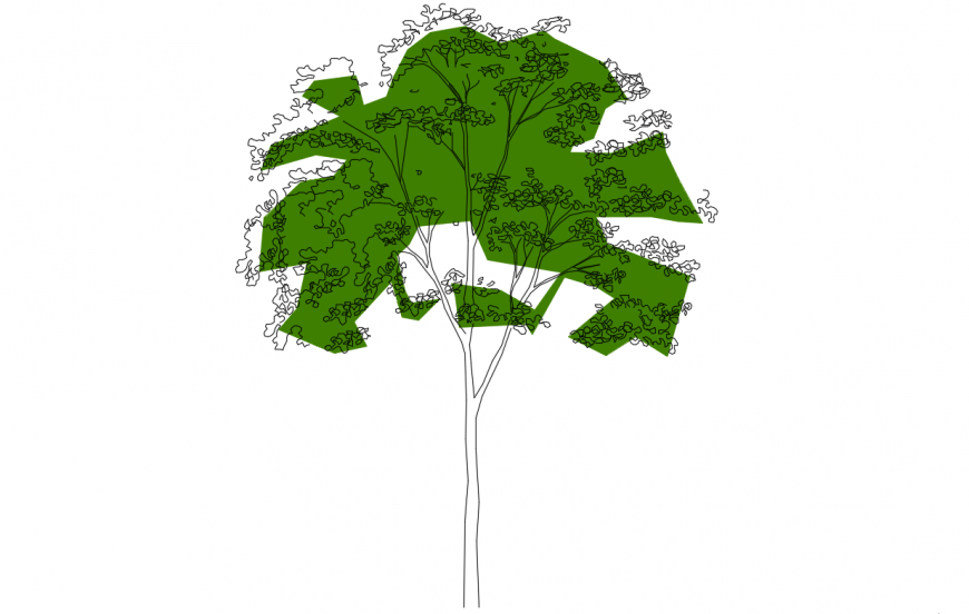 Creative colored tree elevation block cad drawing details dwg file