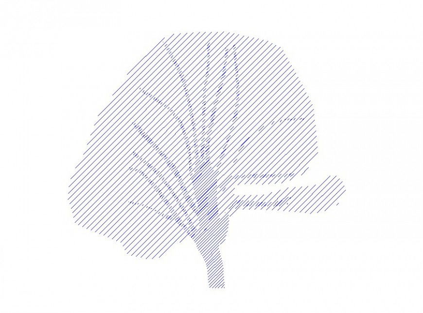 Creative front elevation 2d tree block drawing details dwg file