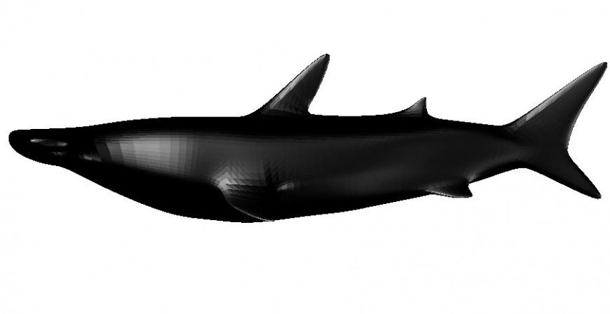 Creative hammer fish 3d elevation block cad drawing details dwg file