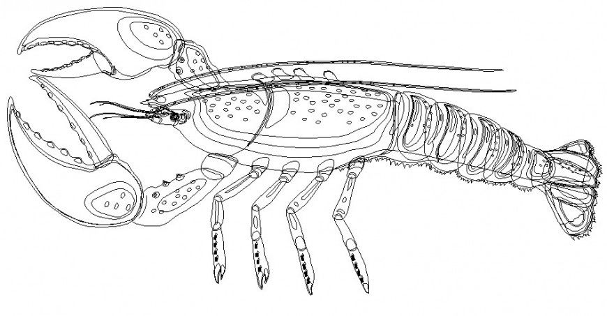 Creative lobster 2d elevation block cad drawing details dwg file