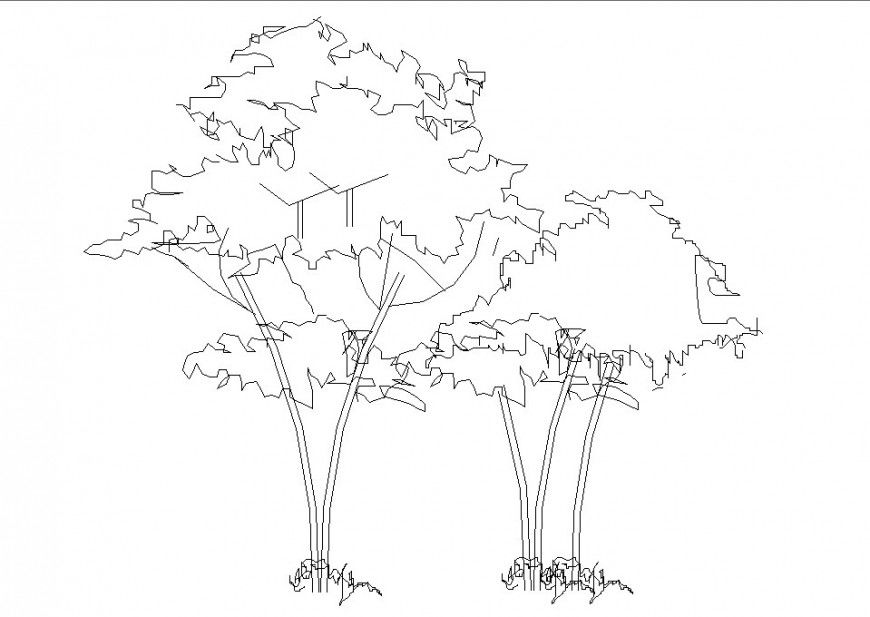 Creative multiple garden tree elevation cad drawing details dwg file