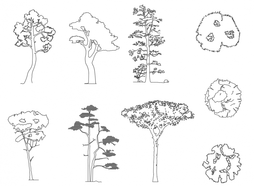 Creative multiple trees and plant blocks cad drawing details dwg file