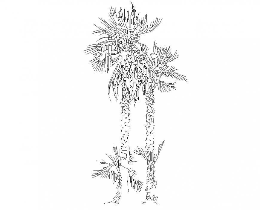 Creative palm tree prospectus elevation cad block details dwg file