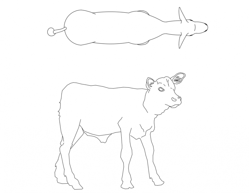 Cute calf elevation cad block details dwg file