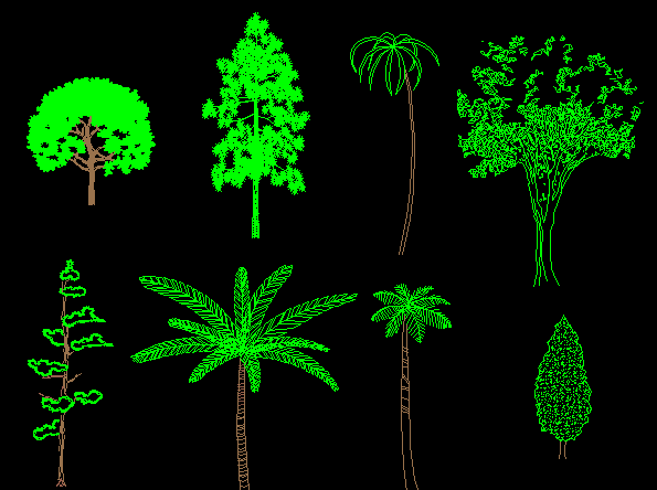 Heighted Tree CAD Blocks DWG File with 2D Front View for Design