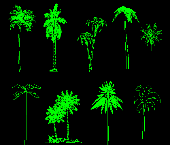 Heighted Tree CAD Elevation Design Blocks in DWG Drawing File