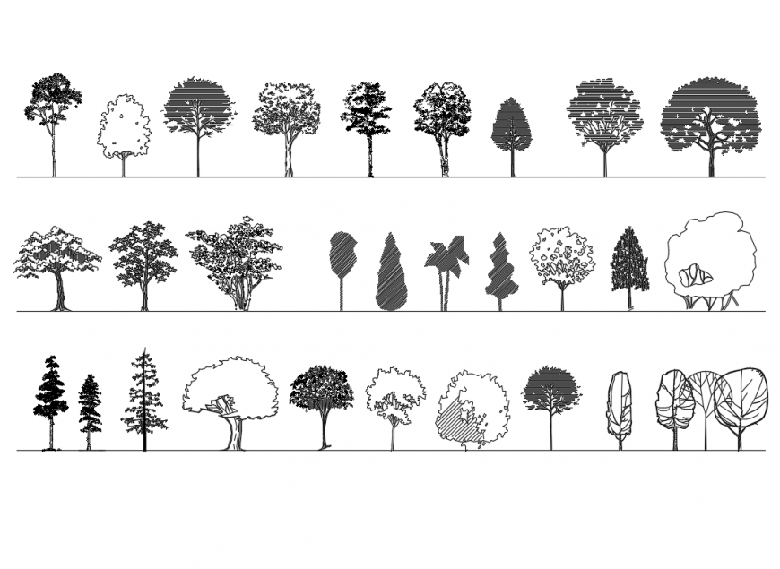 Deciduous forest trees multiple cad blocks details dwg file