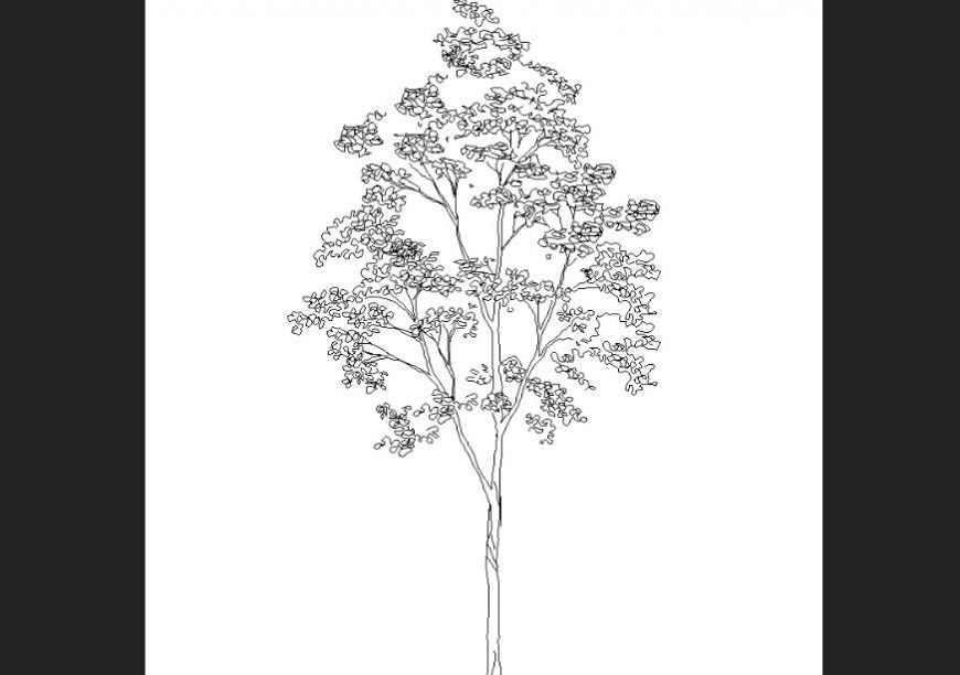Deciduous tree plan with detailing dwg file.