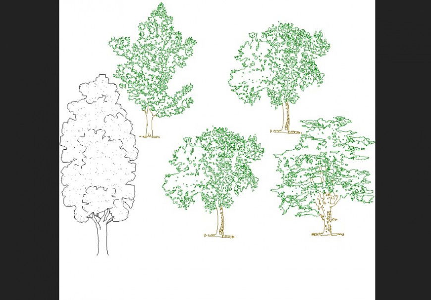 Deciduous trees plan detail dwg file.