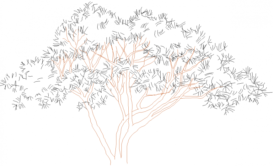 Deciduous trees plan with a detail dwg file.