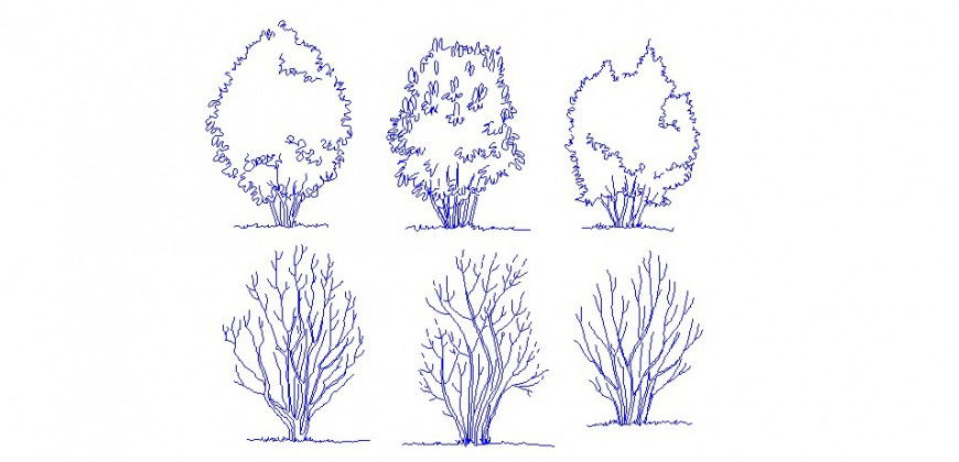 Decorative garden tree elevation blocks cad drawing details dwg file
