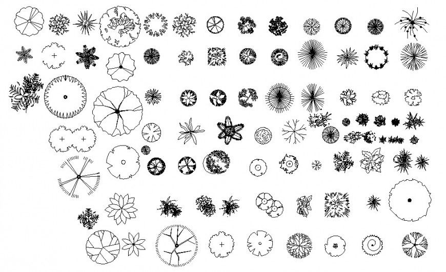 Decorative tree plants 2d elevation block cad drawing details dwg file