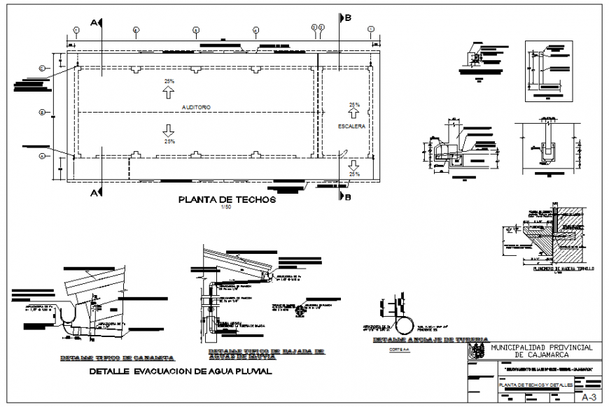 Detail evacuation of water from roof system layout file