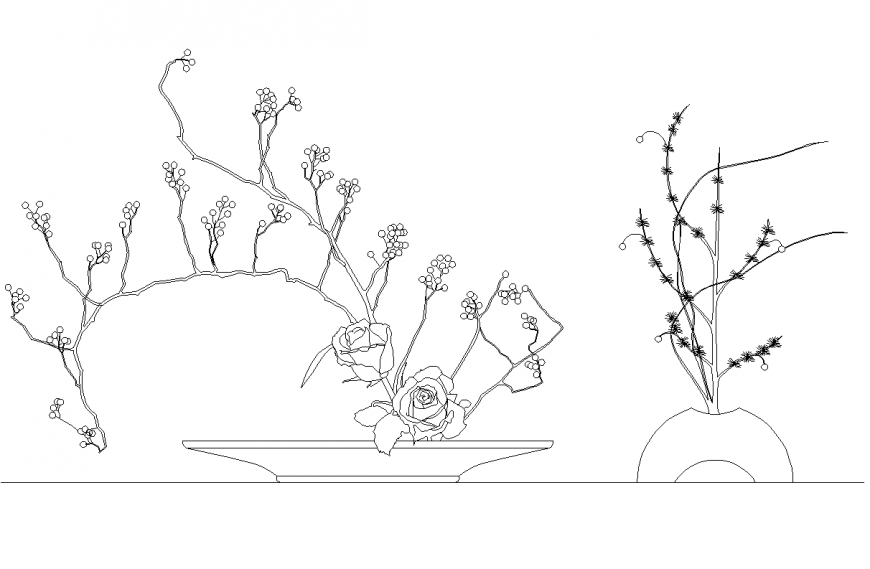 Detail landscaping rose plants elevation layout autocad file