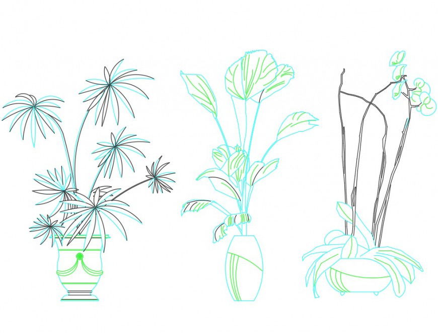 Bonsai Plant Layout CAD Drawing for Garden and Landscape Designers