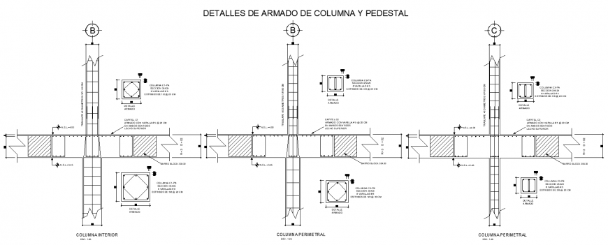 Detail of columns and pedestals plan detail dwg file.