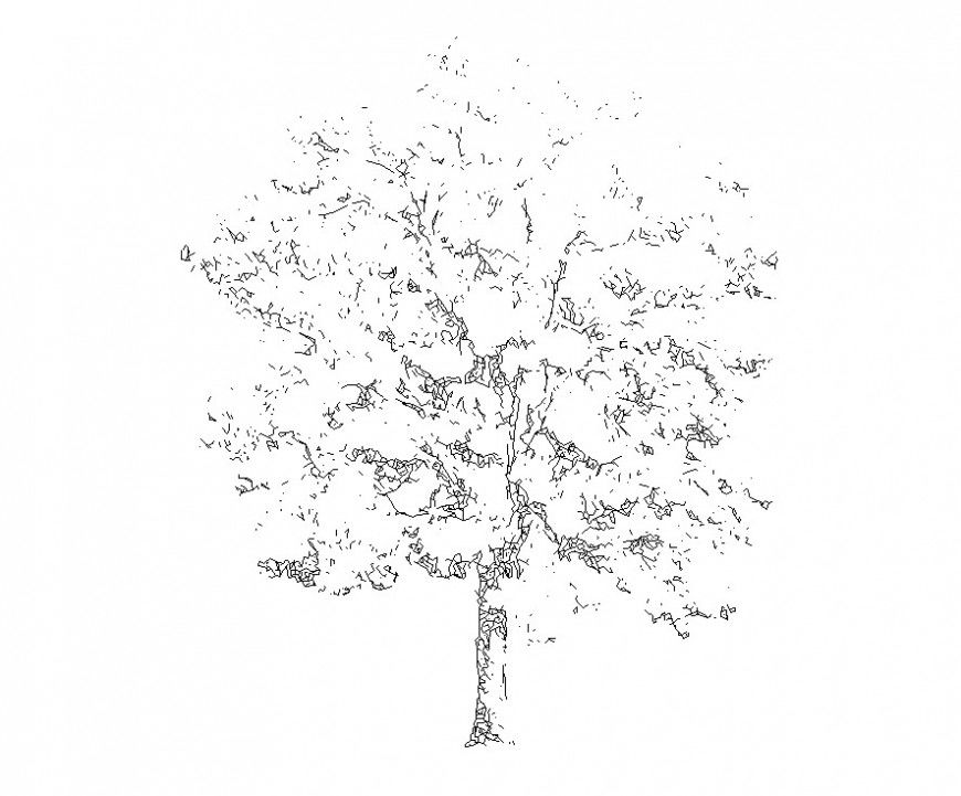 Detail of landscaping trees 2d view CAD block layout file in dwg format