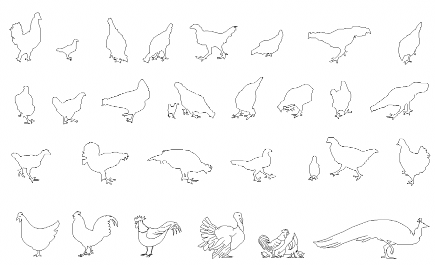 Different Birds CAD blocks detail elevation layout file,