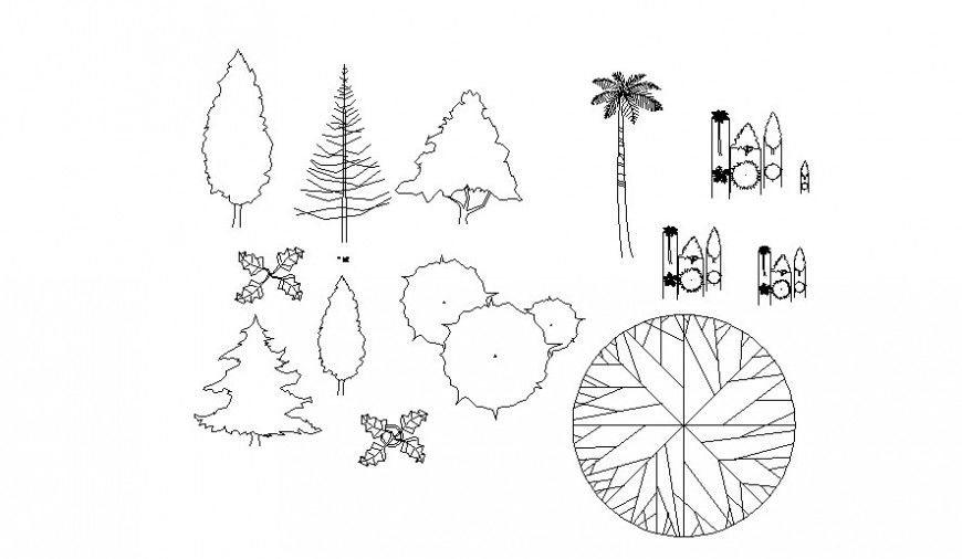 Different landscaping trees detail 2d view layout dwg file