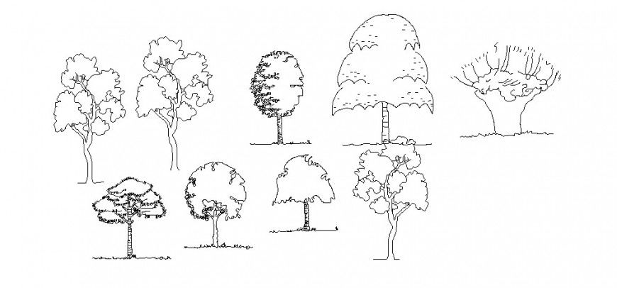 Different tree plant block in file of AutoCAD 