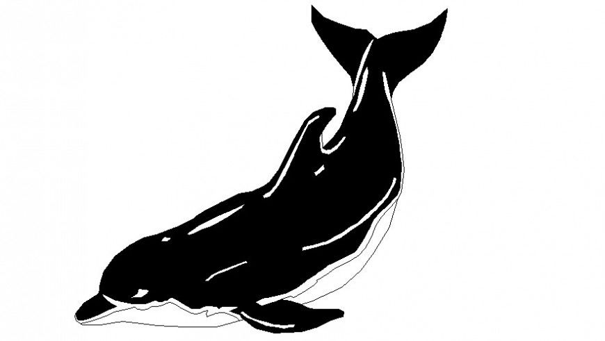 Dolphins drawings details of aquatic animal block 2d view autocad file