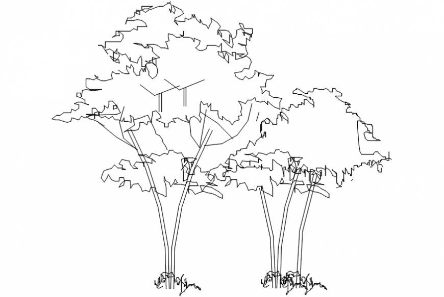 Double wild tree elevation block cad drawing details dwg file