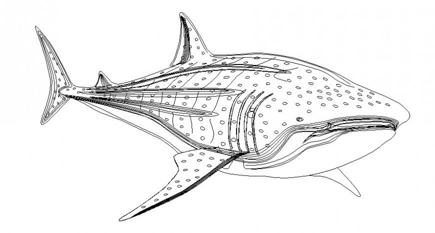 Drawing elevation 2d view of fish aquatic animal blocks dwg autocad file