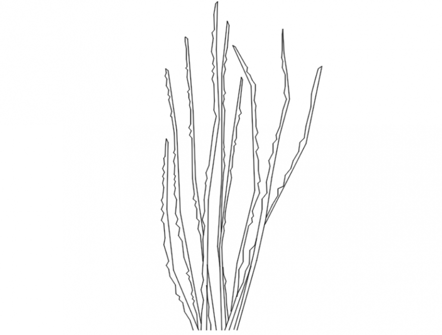 Drawing of 2d tree block AutoCAD file