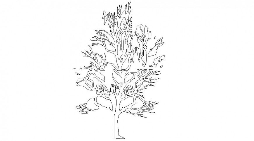Drawing of landscaping 2d CAD drawing in autocad software