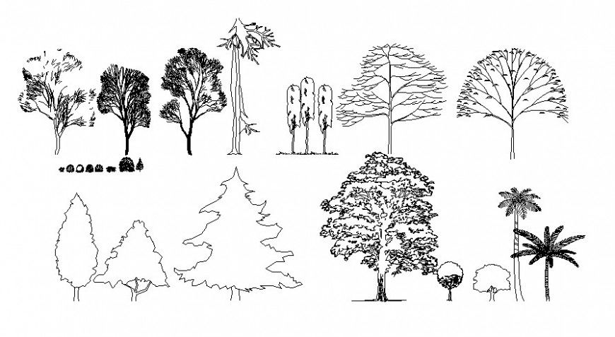 Drawing of landscaping trees 2d view shown in autocad software file