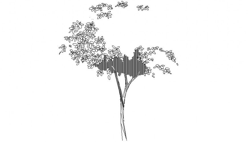 Drawing of landscaping trees 2d view shown in the autocad