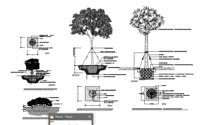 Drawing of tree plantation detail