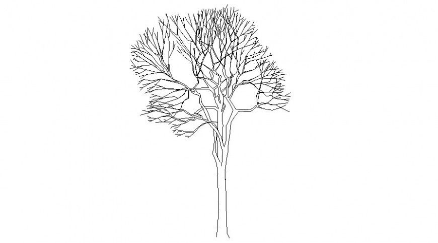 Drawing of trees 2d view shown in autocad