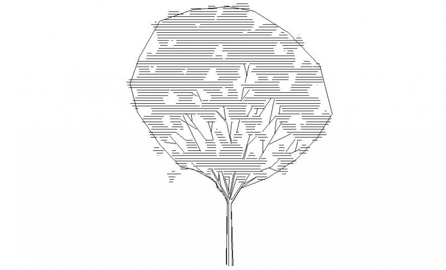 Drawing of trees details 2d view AutoCAD file