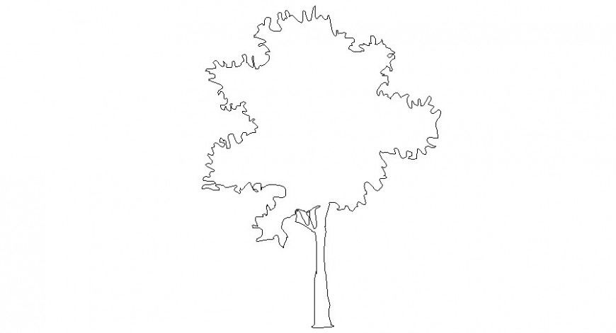 Drawing of trees details landscaping units 2d view in autocad