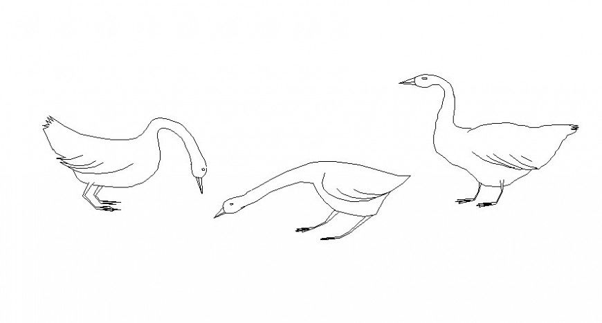 Drawings 2d view elevation of birds blocks layout autocad software file