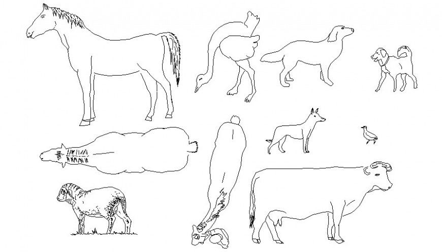 Drawings details of animal block 2d view autocad file